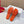 Petal Anagram Slide in Orange Soft Calfskin 273740