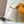 LOW KEY HOBO MM 35 IN IVORY BEIGE SMOOTH CALFSKIN