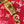 SPEEDY P9 BANDOULIÈRE 25 IN RED MONOGRAM CANVAS GOLD HARDWARE