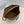 CLARA BAG 24 IN BLACK TRIOMPHE CANVAS AND BROWN CALFSKIN TRIM