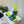 dway heeled slide 35 blue lime embroidered cotton