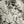 Celine SS26 Unisex Puppy Print Short-Sleeve Tee White Cotton 350474