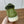 LP Open Walk Chukka Boot Green Suede Lamb Fur