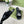 GG CRYSTAL SLIDES SANDAL BLACK CALFSKIN