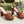 Horsebit 11cm Platform Sandal Brown Calfskin