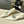 CC Ballet In White Cowhide 151527