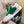 CC 24C Sneaker White Green Suede Sheepskin 688654