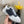 CC 24C Sneaker White Grey Suede Sheepskin 688656