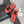 CC 26s Shearling Slide Flat Mules Coral Black Wool 128097