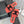 CC 26s Shearling Slide Flat Mules Coral Black Wool 128092