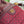 BUCKET BAG 18 IN BURGUNDY RED CANVAS AND CALFSKIN GOLD HARDWARE