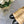 MARY JANE BEIGE CREAM MIX BLACK LAMBSKIN ATTACH METAL