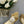 CAMELLIA CAP JANE SANDALS IN GOLD MIX BLACK LAMBSKIN