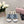 CC 25C Platform Slide Sandals Steed Blue Fabric 213131