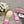 CC 25C Mid Heel Mule Pink Fabric Material 212962