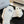 CC Slippers White Fleece Wool