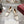 GG Women's Loafer Pump 55mm Horsebit Ivory Soft Cowhide 502607