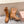 MiuMiu's 26SS Runway Slouch Boots Organge Leather 533044