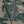 Burberry Men Knight Oversized T-Shirt Green Taupe Cotton