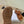 ROMAN SANDAL IN BRONZE BROWN CALFSKIN