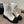 Chanel Electric Show Ankle Boot Cream and Black Leather 507521