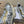 CD Vibe Sneaker In White Mix Dark Grey Gold Polyester Mesh Fabric And Cowhide 113418