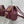 SMALL 20 CARO BACKPACK IN PLUM PURPLE MACROCANNAGE LAMBSKIN