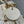 CD Lady 17cm White Canvas Star Diamond Embellished Pearl