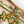 KEEPALL BANDOULIÈRE 50 IN SAND TROPICAL MOTIFS MONOGRAM SURFIN CANVAS