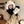 BALACLAVA HAT IN BLACK MIX WHITE FLEECE 422216