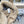 BEANIE HAT IN COSMIC LATTE BEIGE  WOOL AND LAMB FUR 435073