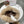 MC 26s Winter Pattern Bomber Trapper Hat Fur 497874