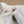 C'est Dior Sneaker Fleece Lining White Lambskin