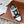 FENDI MATCH IN WHITE MIX BLACK AND BROWN CALFSKIN