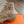 HM ITINERAIRE ANKLE BOOT CAMEL SUEDE