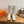 HM Lace Up Sneaker Taupe Calfskin Suede
