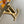 CAPUCINES BB 27 DARK BEIGE TAURILLON GOLD HARDWARE