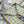 CD Twilly Mini Scarf 105cm Tarot Card White Yellow Mulberry Silk 928083
