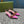 WOMEN'S SLINGBACK 45MM IN FUSCIA PINK CALFSKIN
