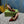 WOMEN'S SLINGBACK 45MM IN DARK RED CALFSKIN