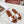 Celine 25C Slippers White mix Brown Fabric with Calfskin 238153