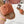 Celine 25C Lympia Sandal Melon Orange Fabric with Calfskin 238174