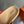 HM Men's Chypre Sandals Red Beige Suede 741433