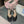 Jimmy 25 Saeda 85mm Sandals Black Suede 240083