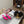 Jimmy 25 Vivi 100 Mule Deep Pink Mesh Gauze 240054