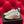 cc low sneaker gold metalic quilted calfskin