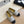 CC Espadrilles Canvas