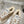 CC Sneaker Beige Suede Wool Lining