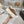 CC Sneaker Brown Suede Wool Lining