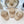 Celin Cap Ivory White Cotton Fabric 210387